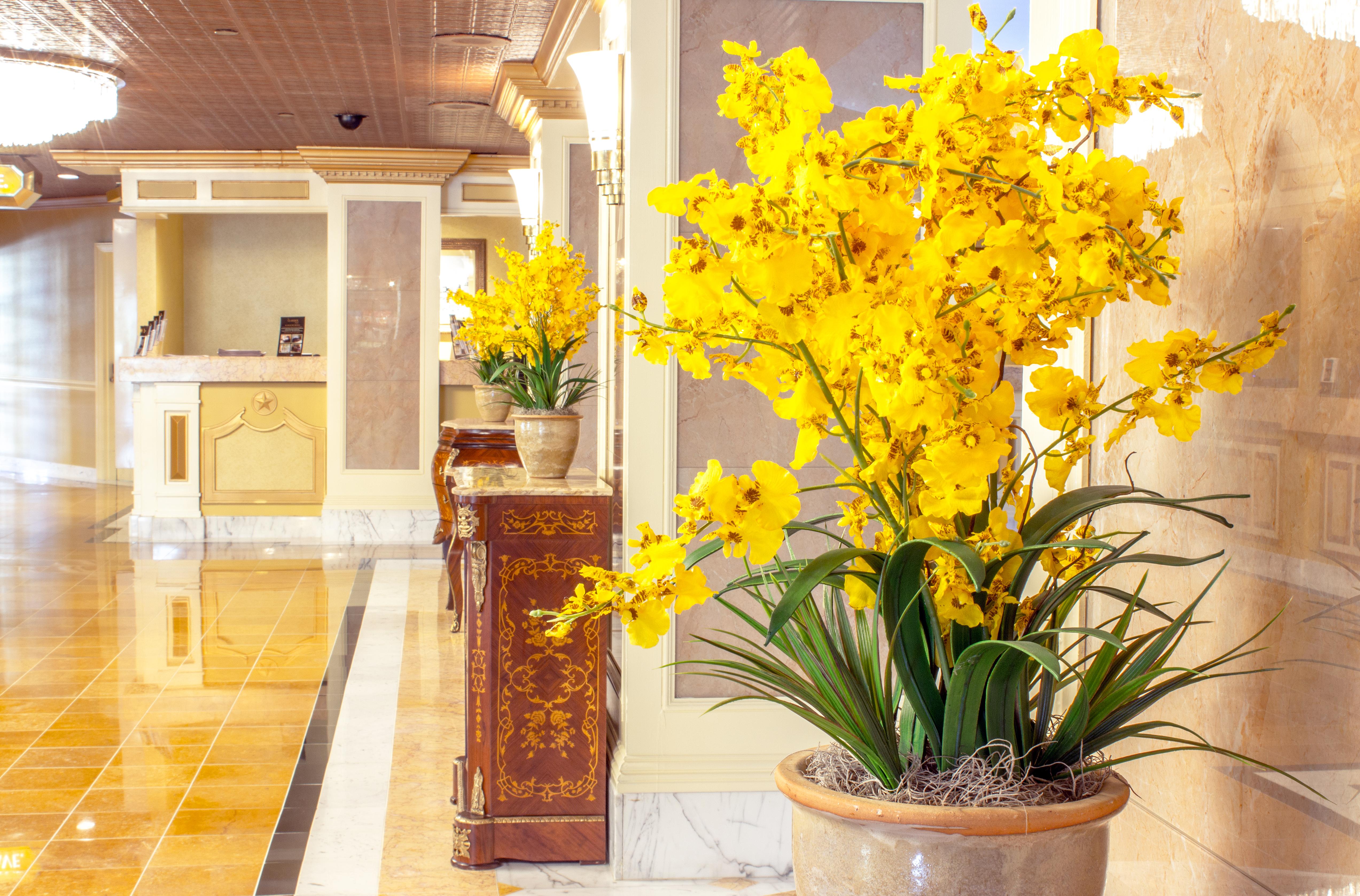 The Claridge Hotel أتلانتيك سيتي المظهر الخارجي الصورة